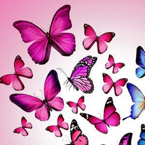 Butterfly Maze
