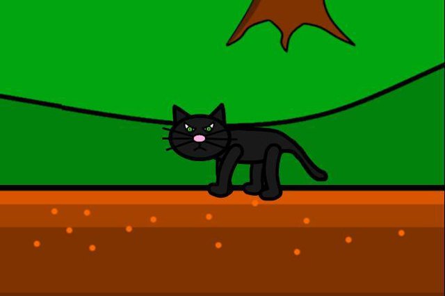 4 Cats