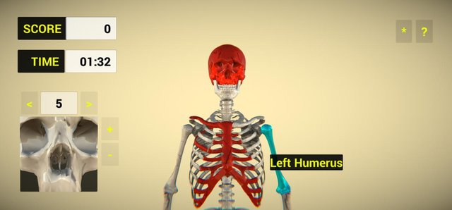 Bones (Vicarious)
