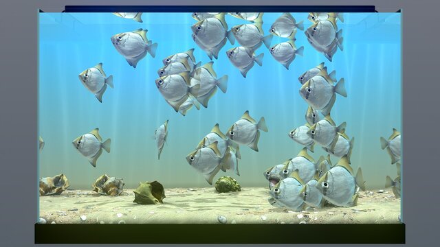 Behind Glass: Aquarium Simulator
