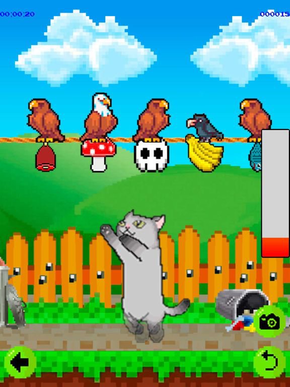 Longcat Adventures