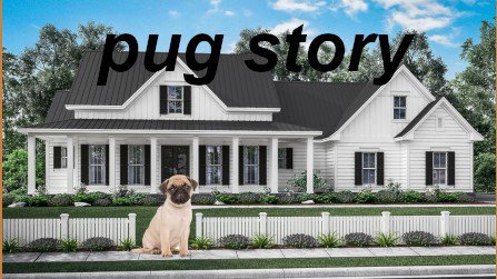 pug story