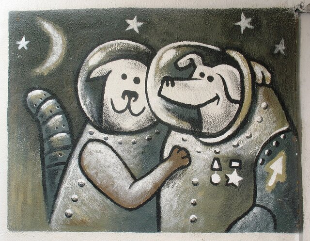 Star Dogs