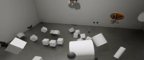 Fun With Physics (Fungus)