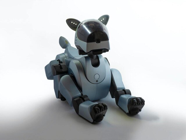 Tintown: An Interactive Robot Live