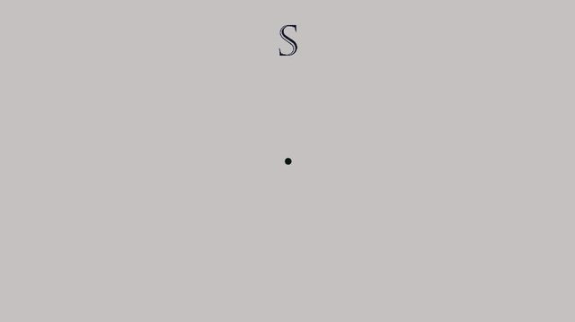 S - The Game