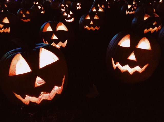 Pumpkin Night