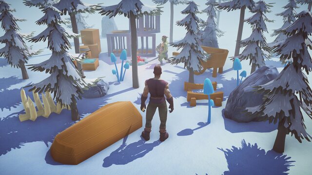 Icy Shores