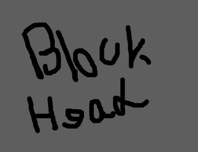 BlockHead - Completely Wrong version
