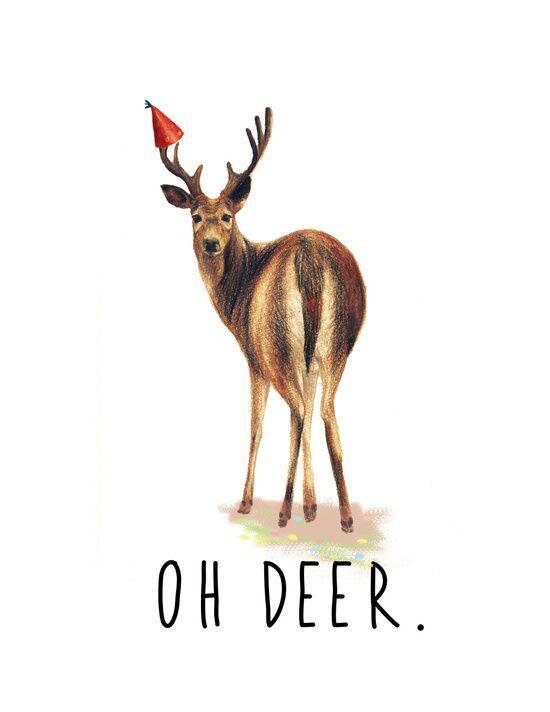 Dear Deer Killer