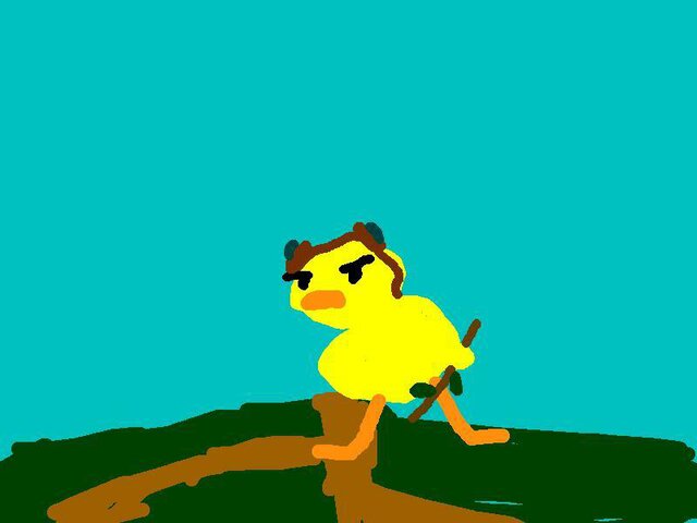 Duck Defender