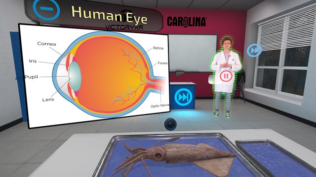 VR Squid and Seastar Dissection: Invertebrate Investigations