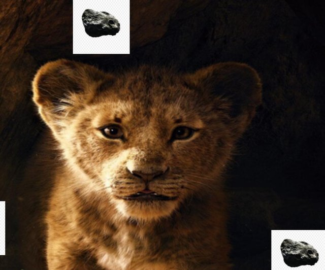 2 - leon