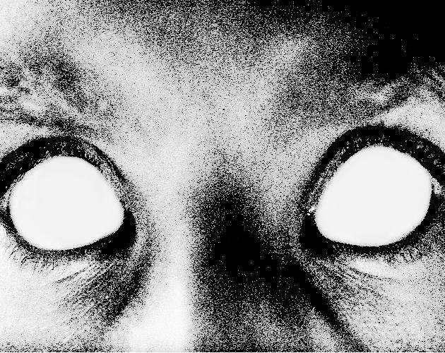 Illsight