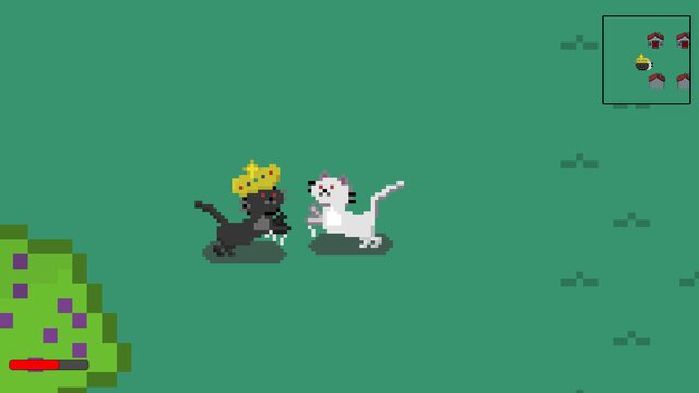 Kitten Empire