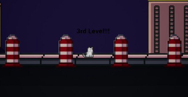 Kitty_Coins
