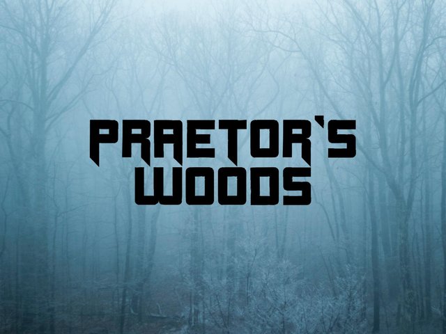 Praetor's Woods