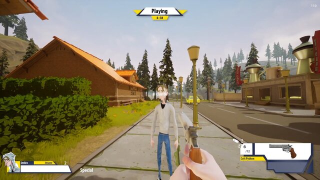Insane Town