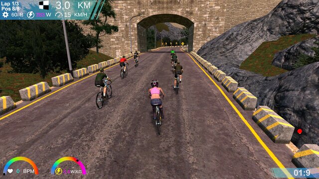 CyclingArcadeRaceSimulator
