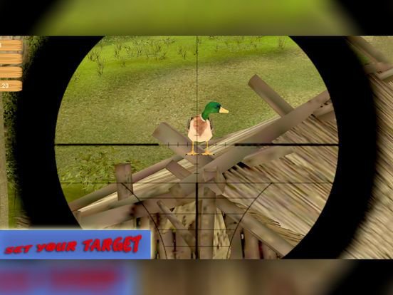 Wild Bird Hunting: Silent Sniper Shooting