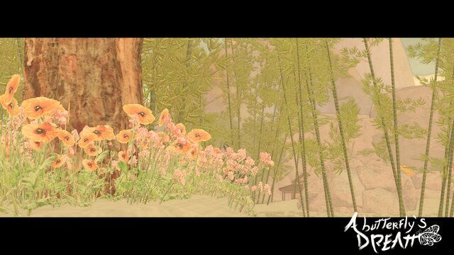 A Butterfly's Dream