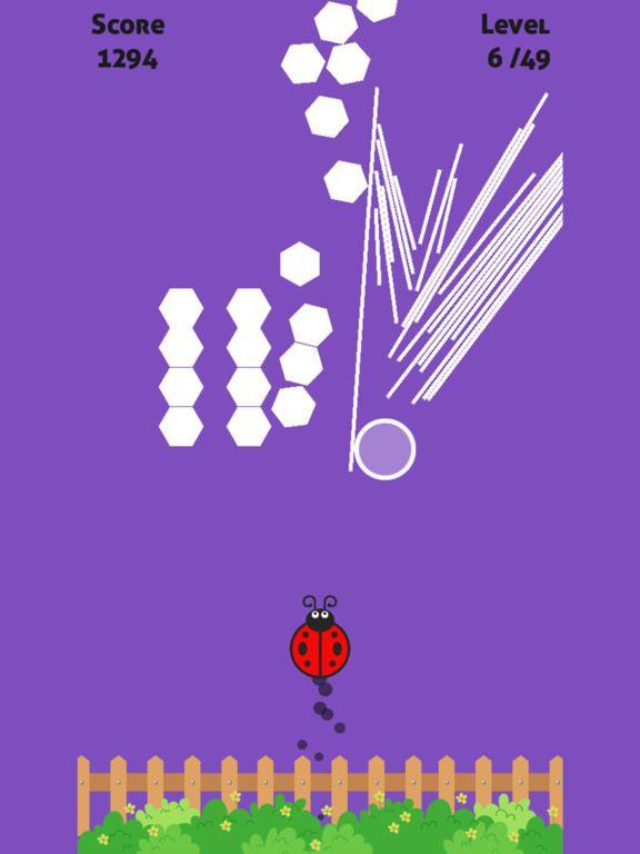Ladybug!