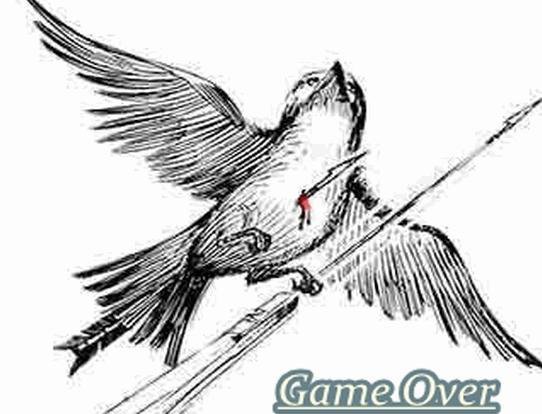 The Hawkman
