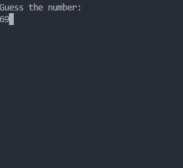 GuessingTerminal