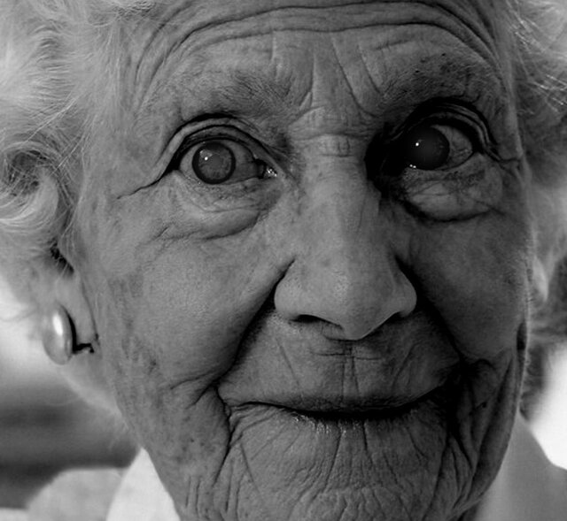Feed your gran