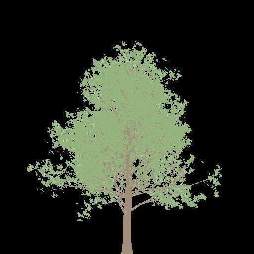 The Mongo's Game
