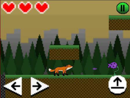 Survival Run