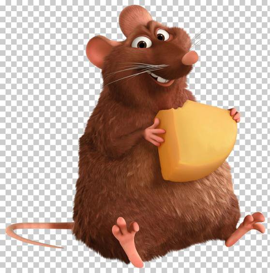 A Rat's Tale Remastered