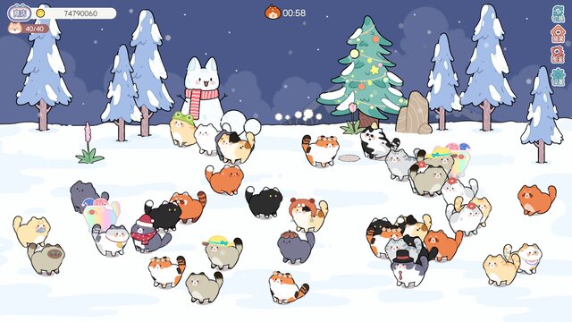 猫语拾光 Cat And Life