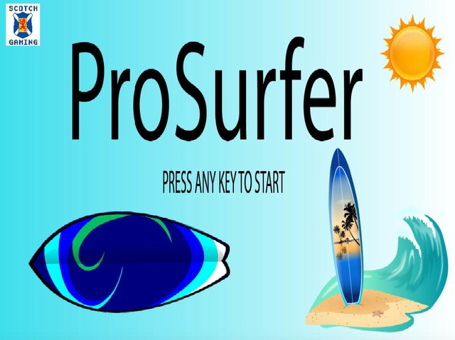 Pro Surfer