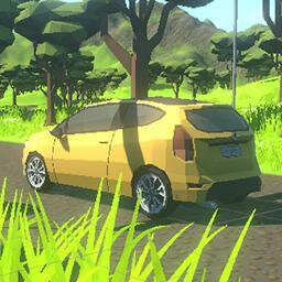 Simple Rally