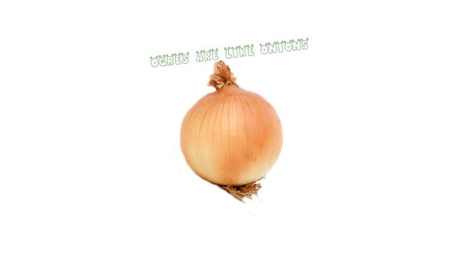 Onions
