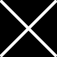 Space X