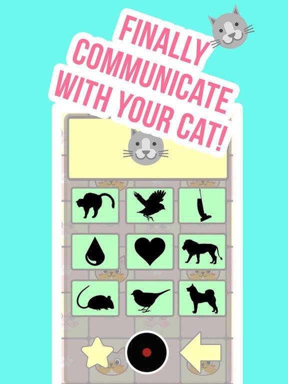 Crazy Cat Translator & Sounds