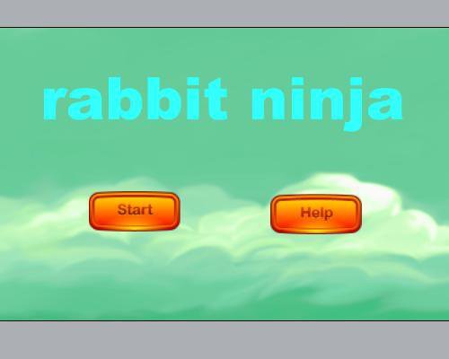 Rabbit Ninja