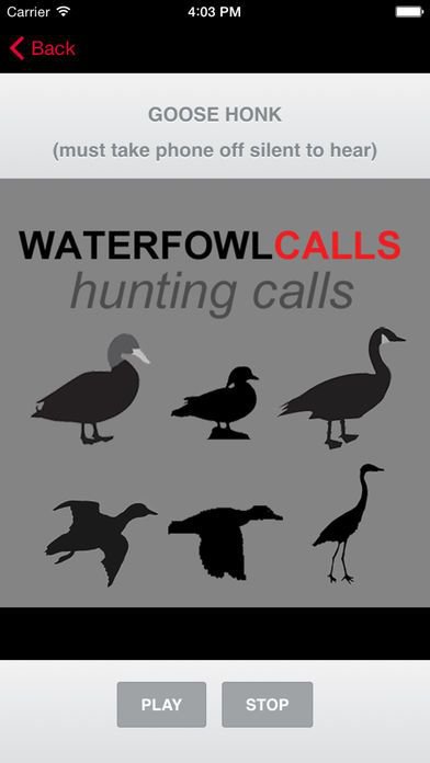 Waterfowl Hunting Calls - The Ultimate Waterfowl Hunting Calls App For Ducks, Geese & Sandhill Cranes - BLUETOOTH COMPATIBLE