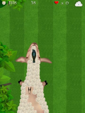 Wooly Sheep Shave: The Shepherd Shaving Lamb Day for Wool Harvest - Free