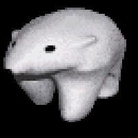 POLARBOY ADVENTURES