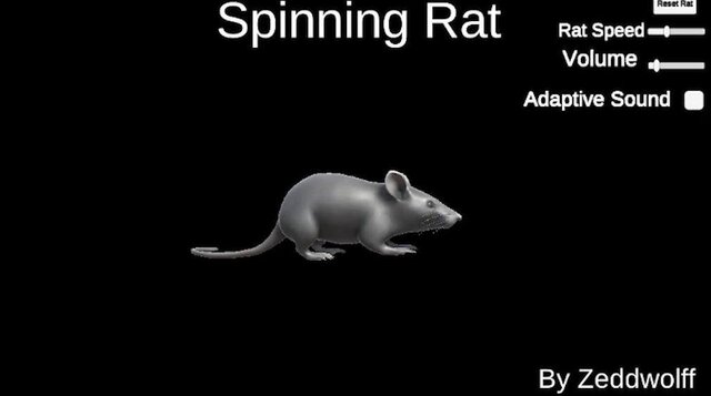 Spinning Rat