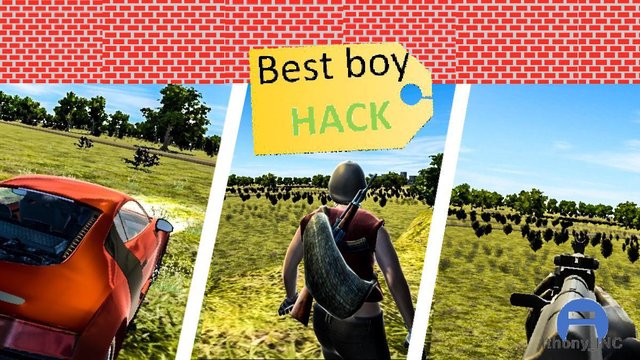 Best boy HACK