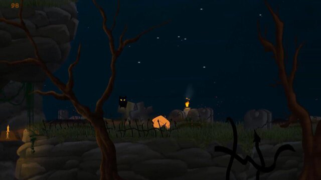 Indian jungle