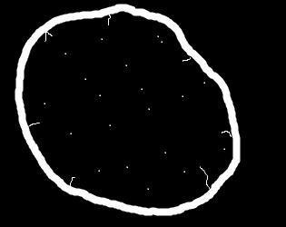 The Asteroid