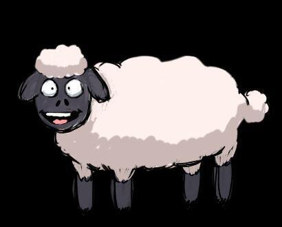 Sea Sheep!