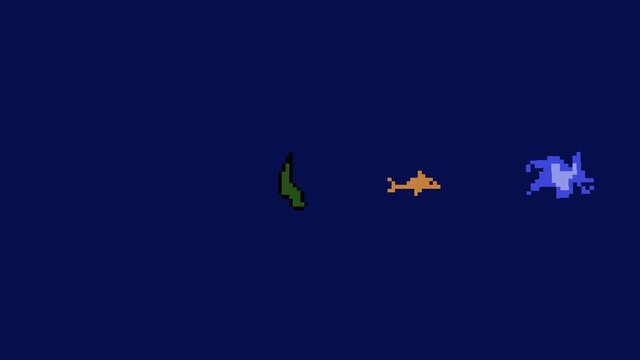 Dolphin War