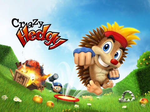 Crazy Hedgy - Beat ’em up 3D Platformer