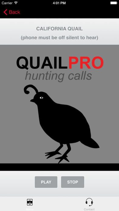 REAL Quail Sounds and Quail Hunting Calls